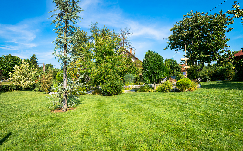 Tips To Improve Your Yard Drainage