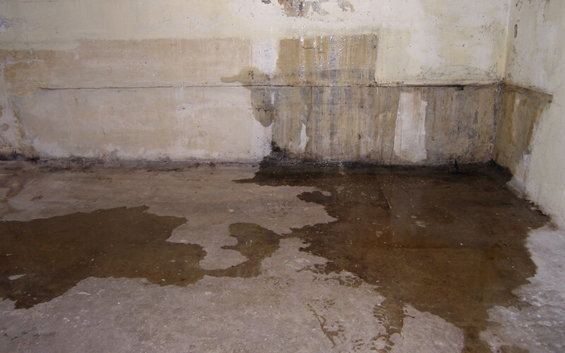 Foundation Wall Crack Repair: Polyurethane Or Epoxy Injection?