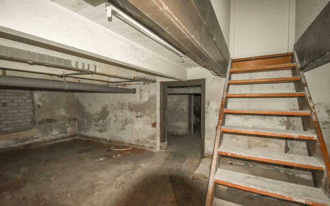 How to Identify and Resolve Basement Waterproofing Issues
