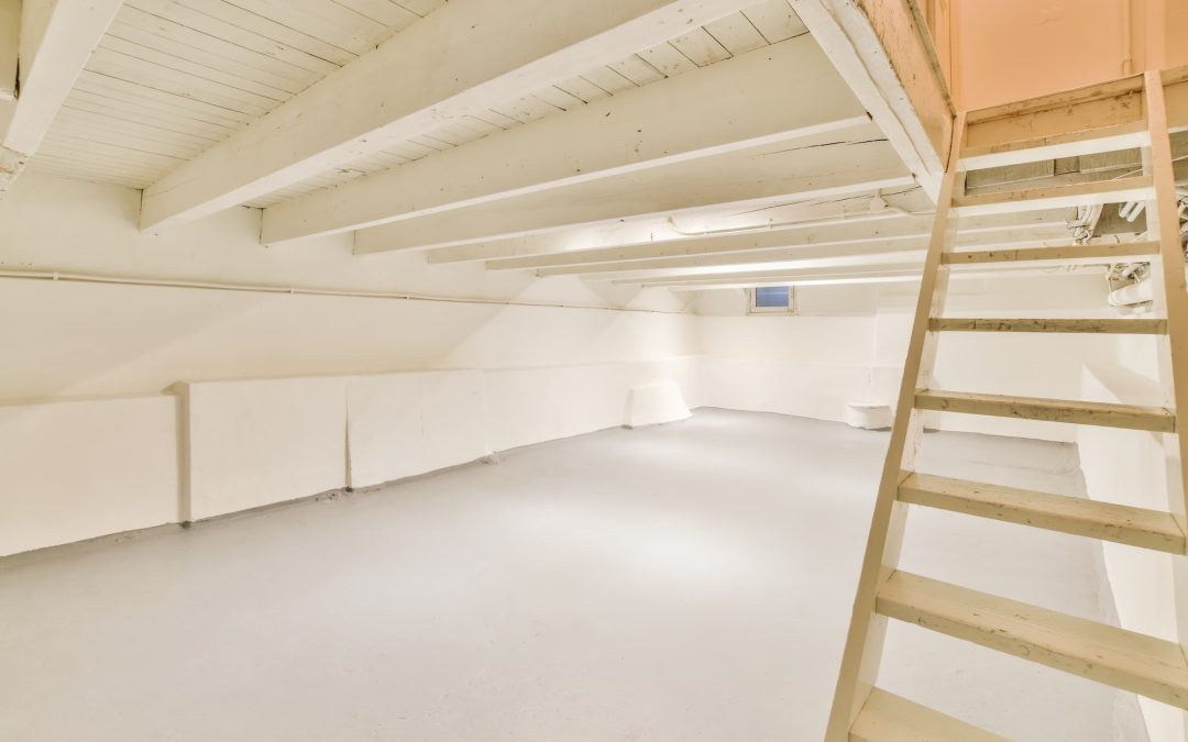 Waterproofing vs. Water Management: Understanding the Difference for Your Basement