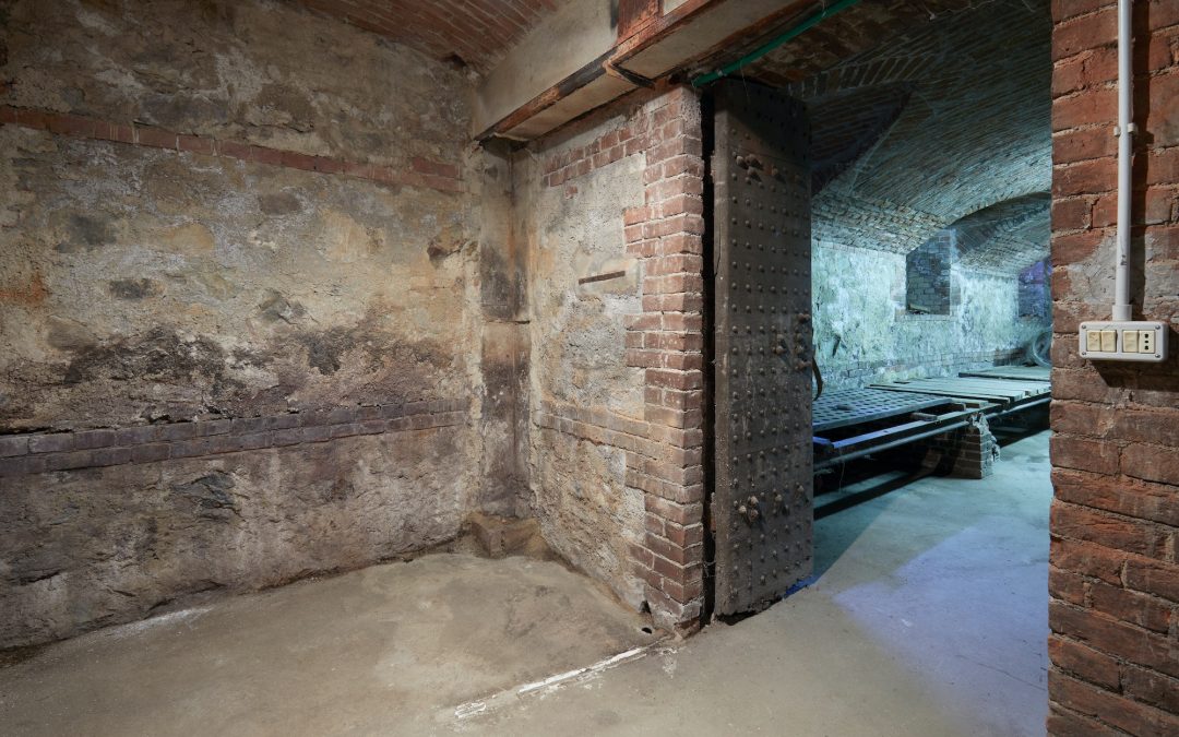 Basement Flooding Cleanup: Steps to Restore Your Space