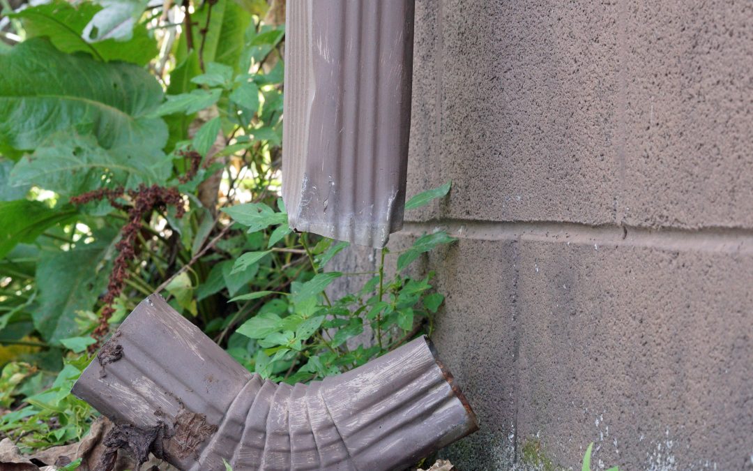 Understanding Drainage Problems: Signs and Solutions for Your Home