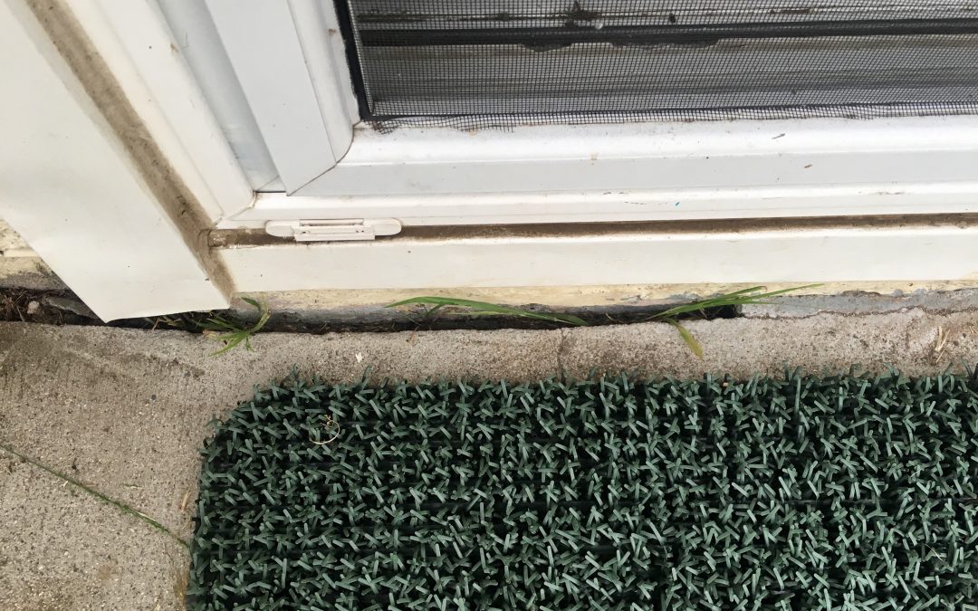 Foundation Leak Repair: Steps to Safeguard Your Home’s Integrity