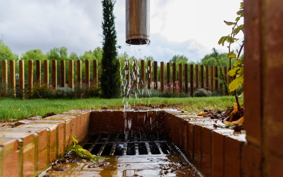 Crawlspace Waterproofing: Protecting Your Home from Water Damage