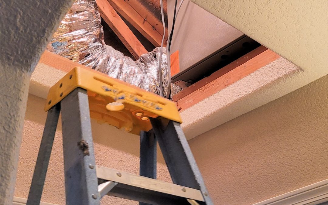 DIY vs. Professional Crawl Space Repairs: What You Need to Know