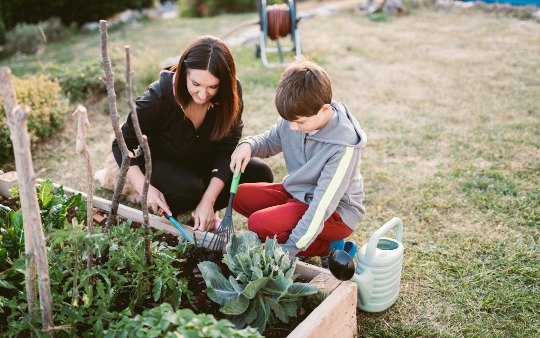 Creating a Rain Garden: A Beautiful Solution to Drainage Problems