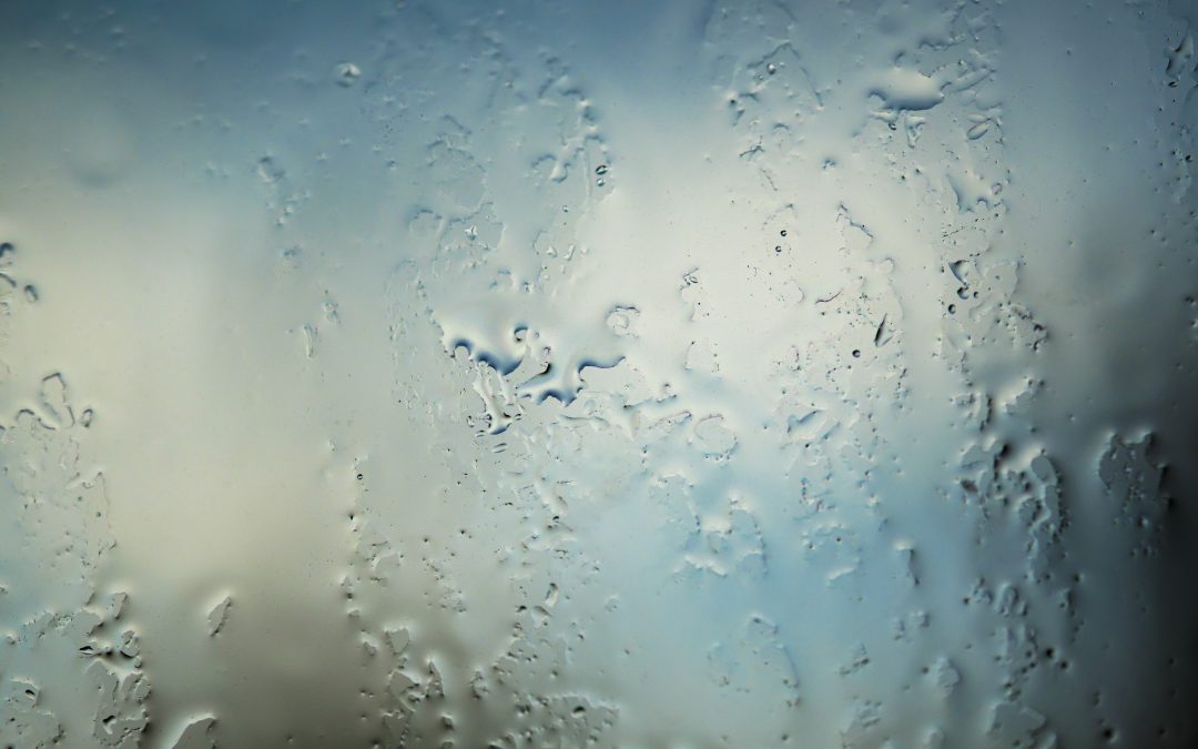 Crawlspace Moisture Control: Tips for a Dry and Healthy Home